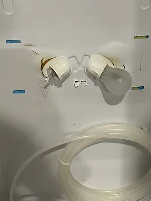 Hornet Appliance Services Logo