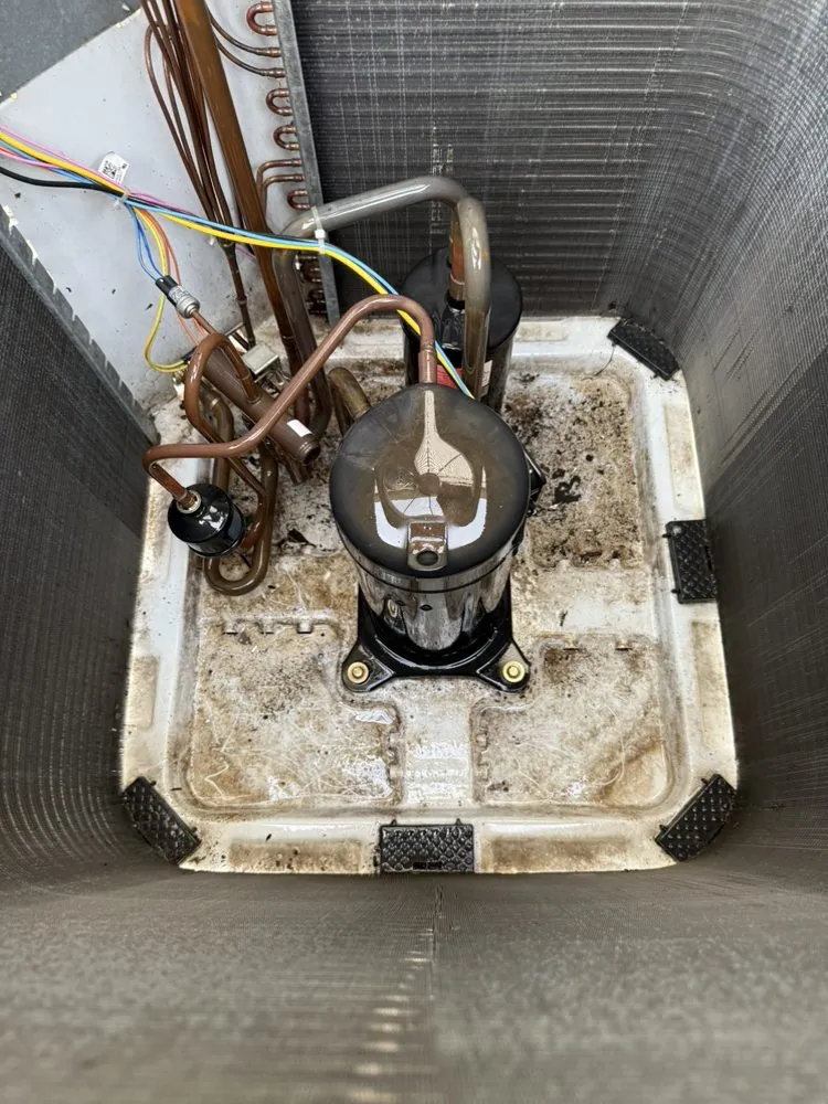 Slide of Hot & Bothered