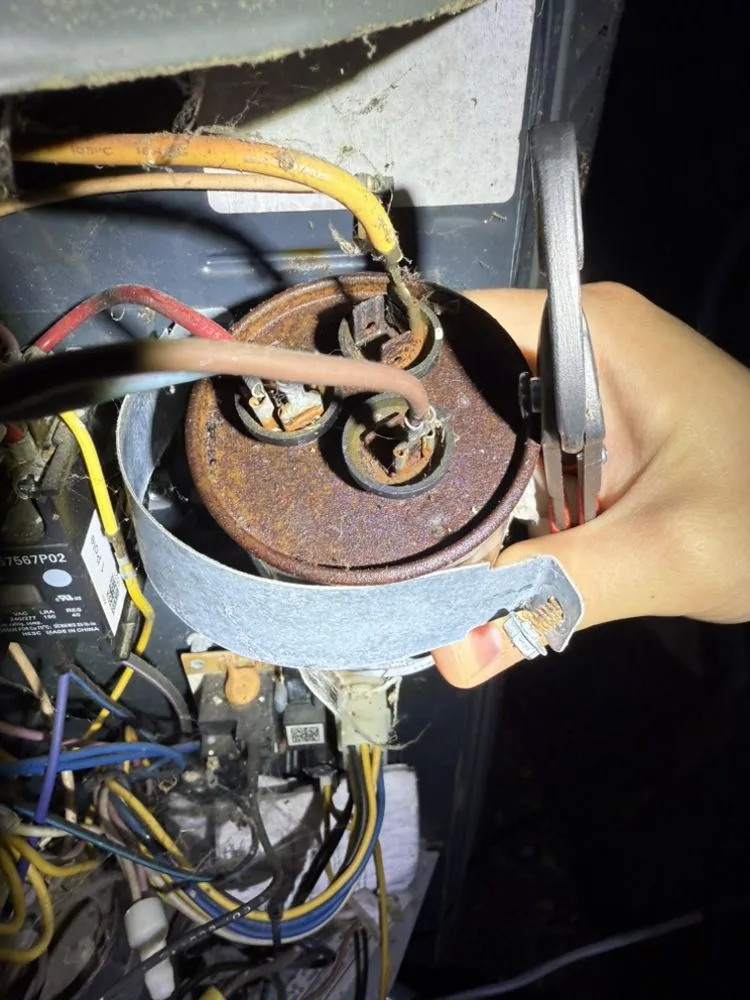 Slide of Hot & Bothered