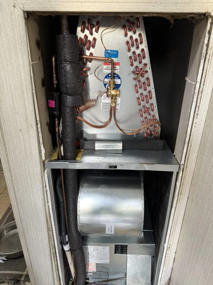 Slide of Hot & Bothered