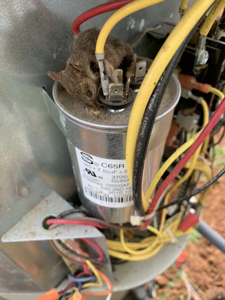 Slide of Hot Ac Services