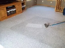 Slide of Houston Carpet Cleaning Pro