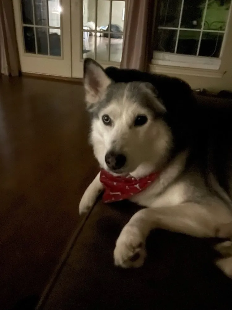 Slide of Howlett Mechanical