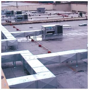 Slide of Hunter-Davisson