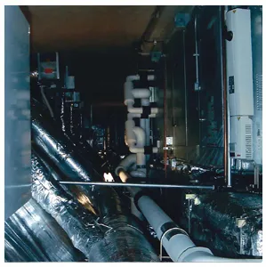 Slide of Hunter-Davisson