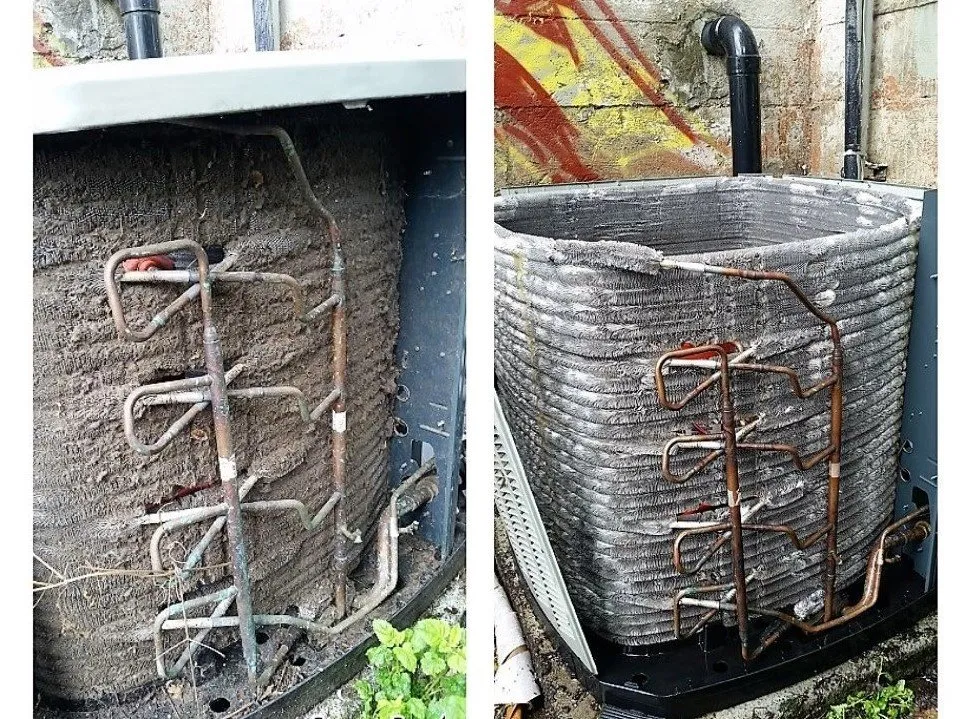 Slide of Hunter-Davisson