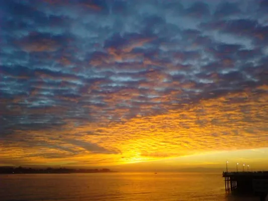 Hunter Refrigeration