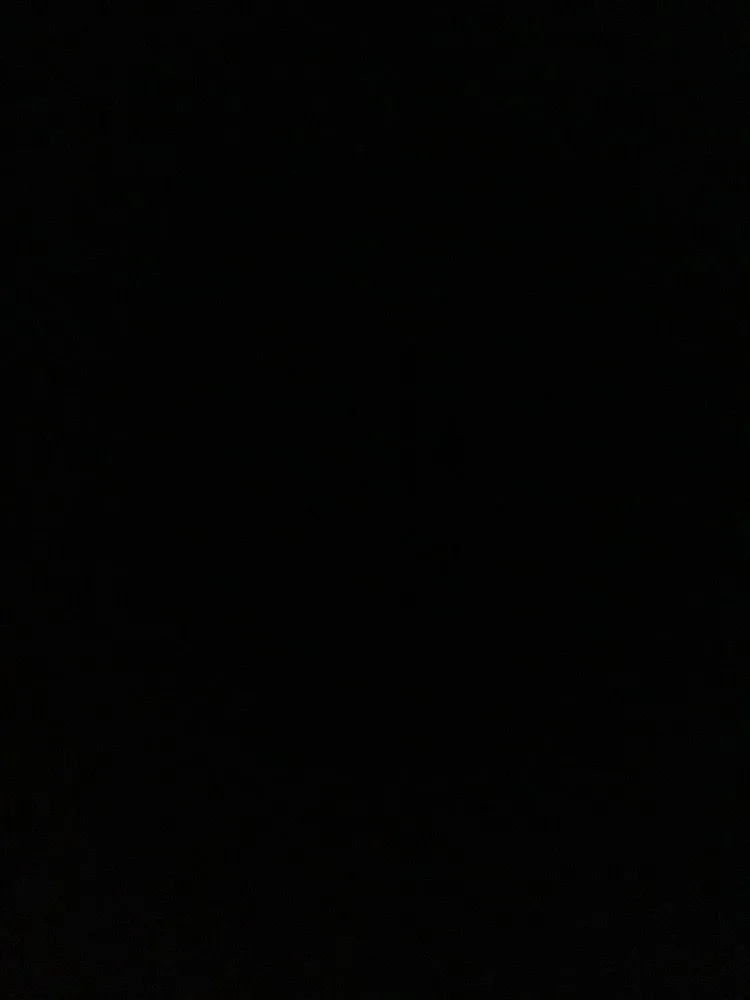 Slide of Hurley & David