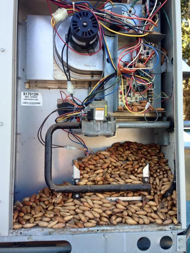 Slide of Hutch Heating And Air