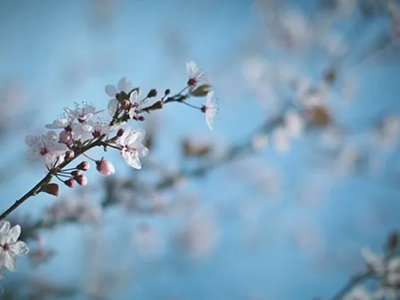 Slide of HVAC Air Conditioning Academy