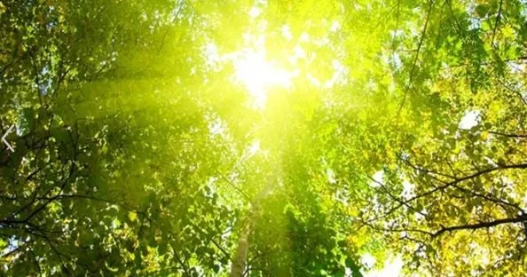 Slide of HVAC Services Unlimited