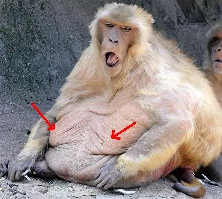 Slide of I GO Heating & Air Conditioning