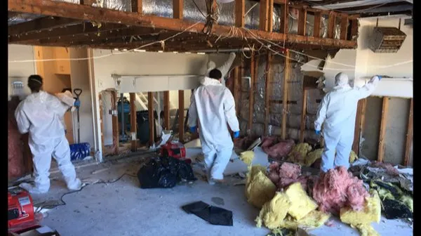 IAC Moldbusters Logo