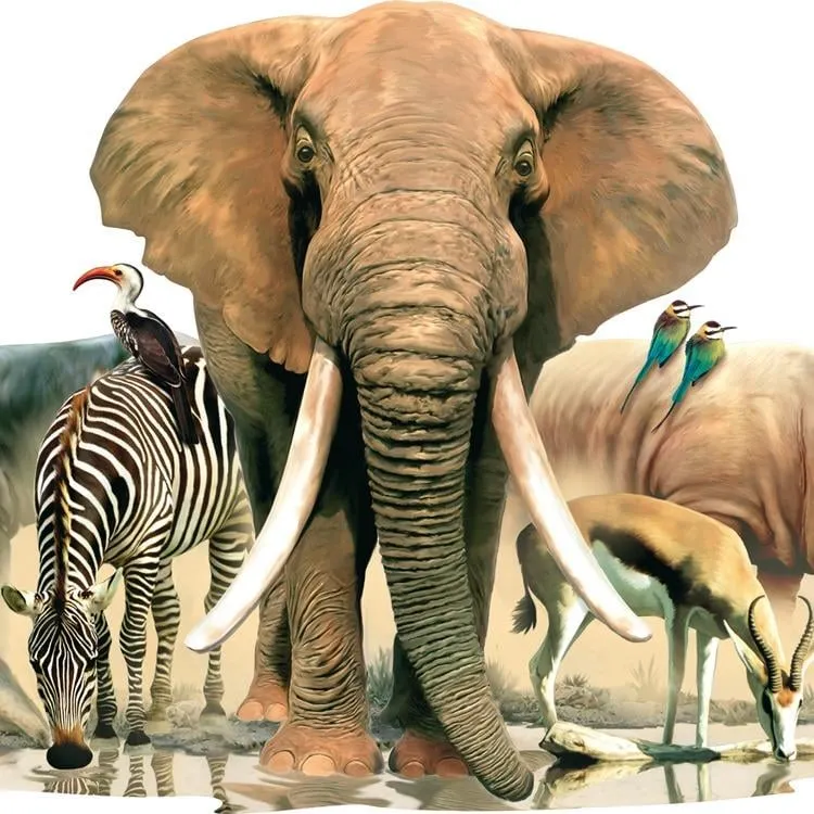 Slide of Ian Meyer Heating and Air