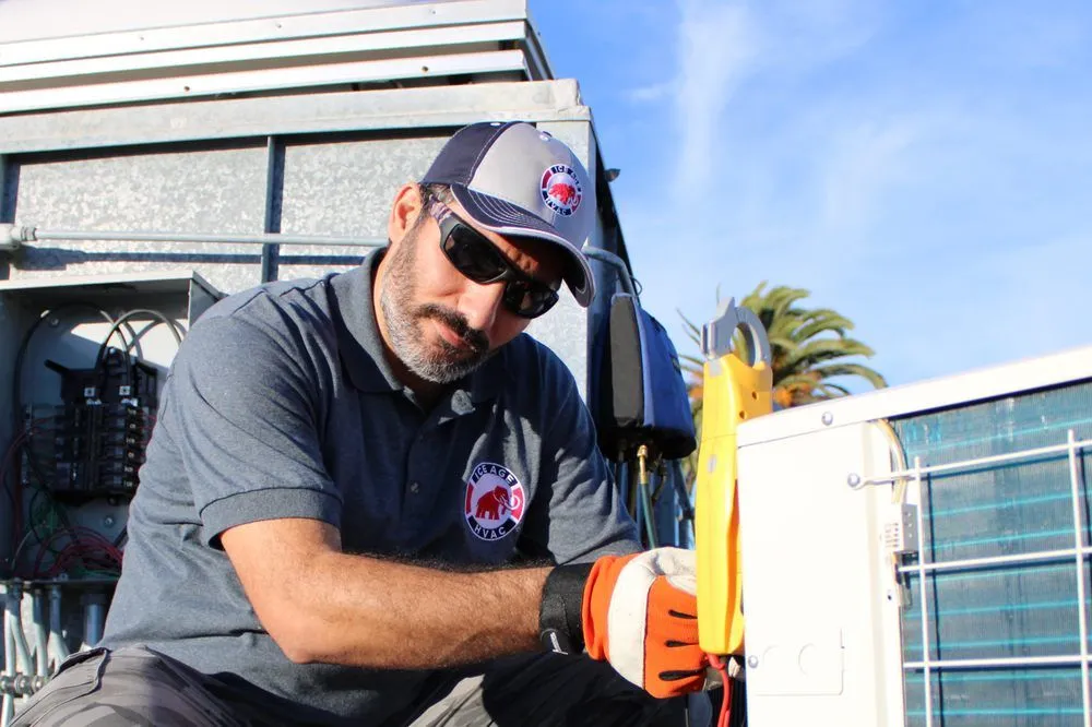 Slide of Ice Age HVAC