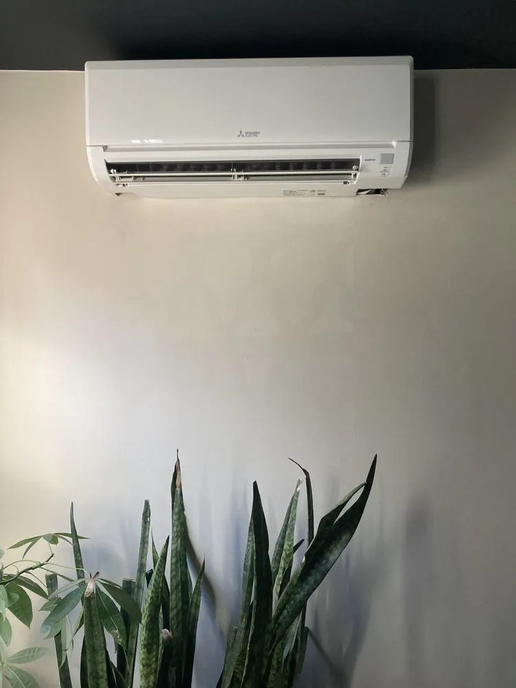 Slide of Ice Age Mechanical