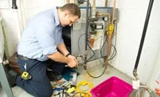 Slide of Ice Age North