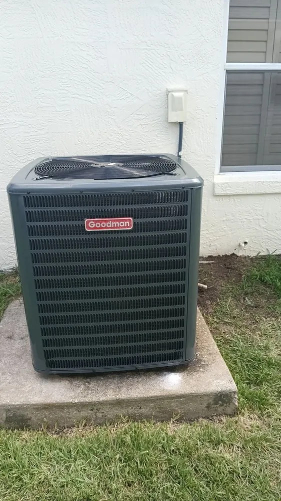 Slide of Ice Age North