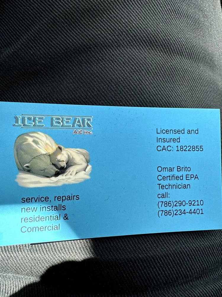 Slide of Ice Bear