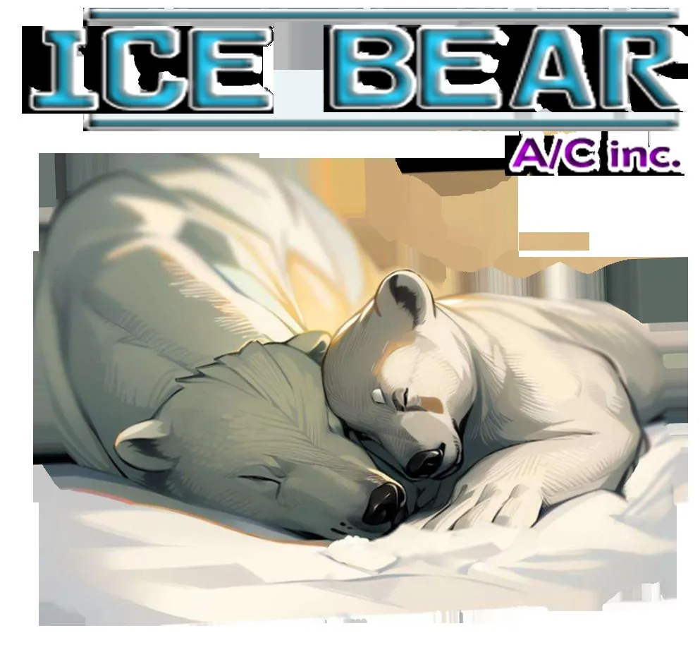 Slide of Ice Bear