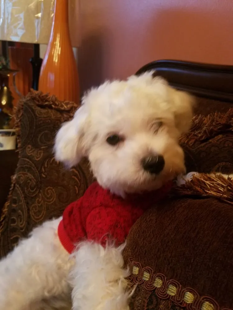 Slide of Ice Flow HVAC