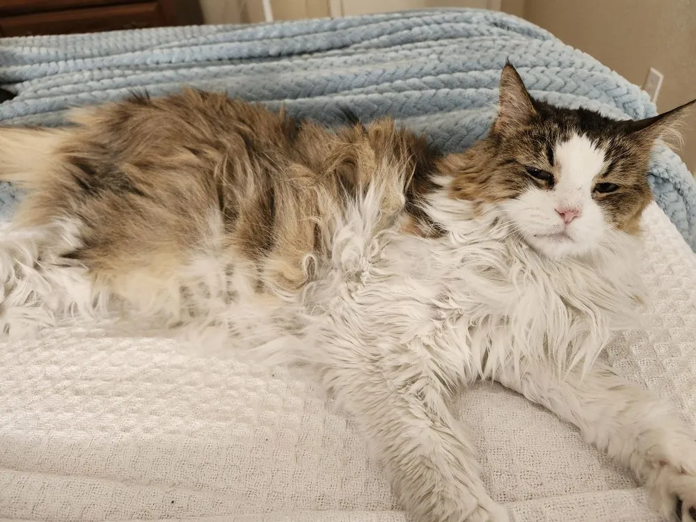 Slide of Ice Heating Cooling And Plumbing