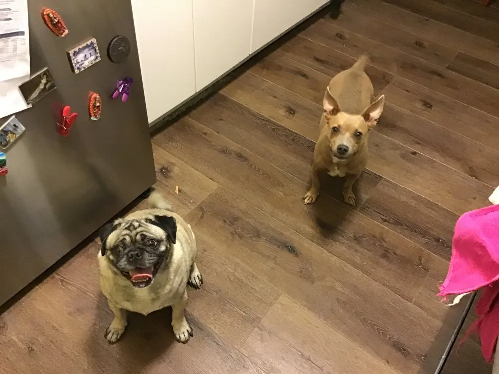 Slide of Ice Heating Cooling And Plumbing