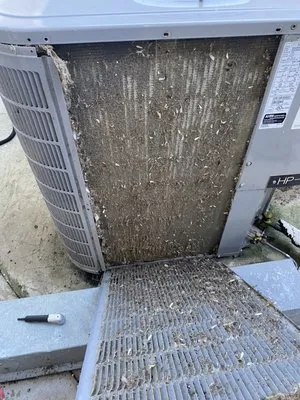 Iceberg Cooling Solutions Logo