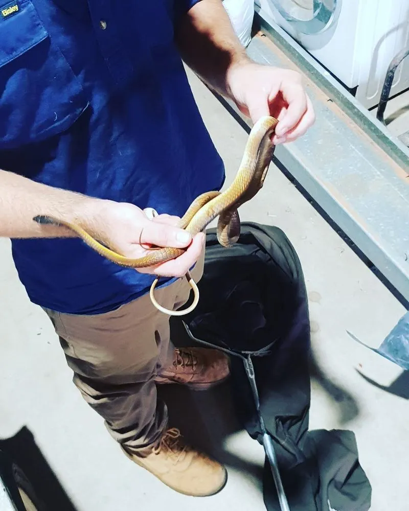 Slide of Ickes Praire Homes 24 Hour Plumber