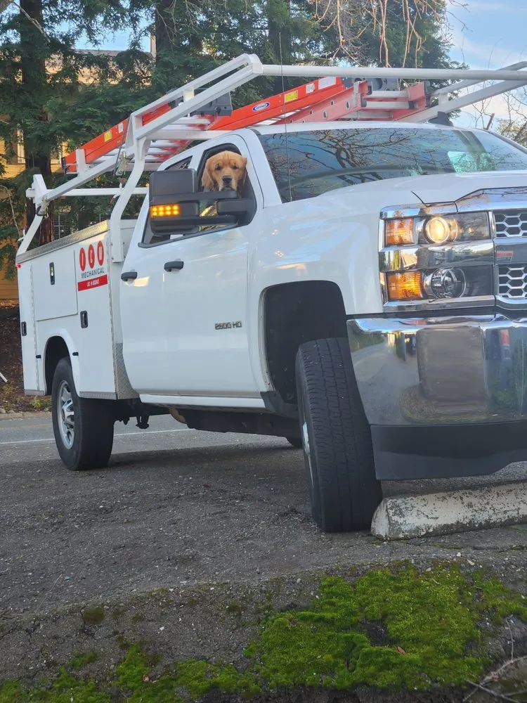 Slide of Icm Mechanical