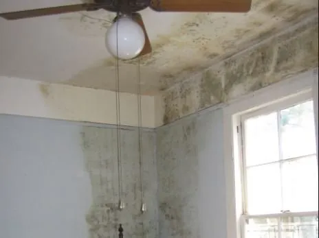 Slide of Idaho Property Restoration