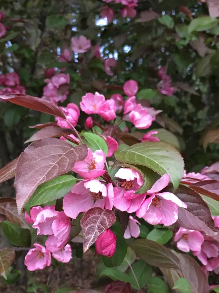 Slide of Ideal Air Heating & Air Conditioning