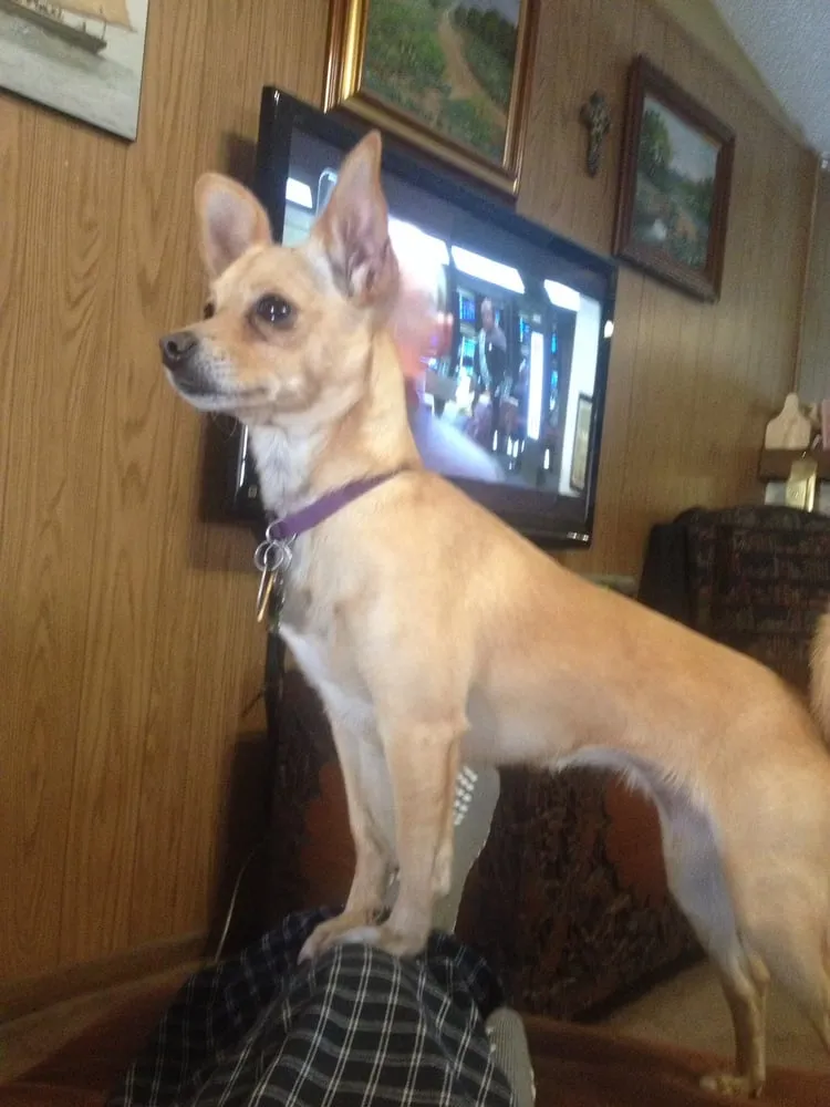 Slide of Ideal AirCare Heating & Air Conditioning