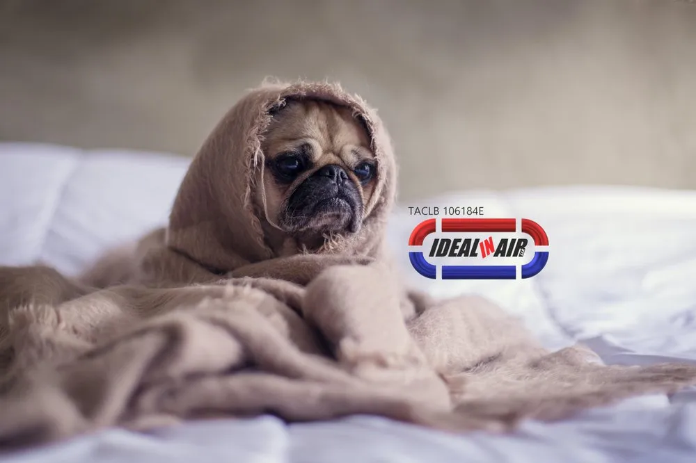 Slide of IDEAL IN AIR