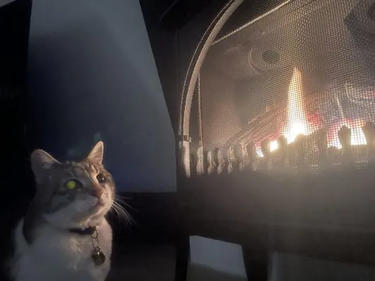 Idyllwild Heating & Cooling