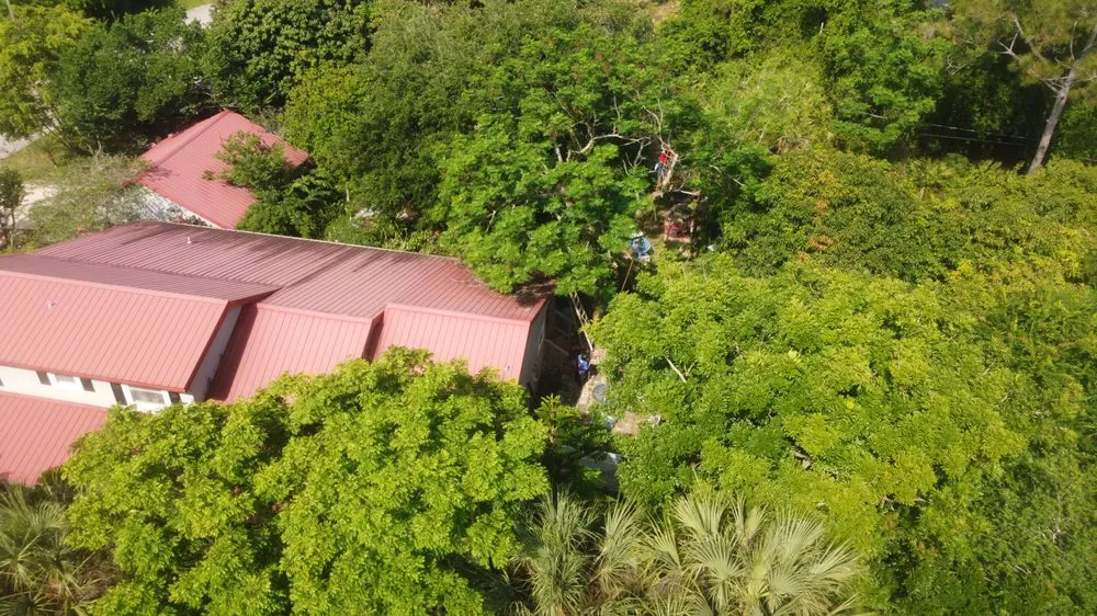 Slide of Im Collins It