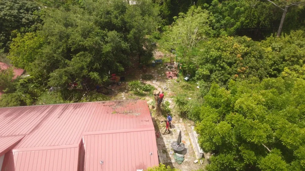 Slide of Im Collins It