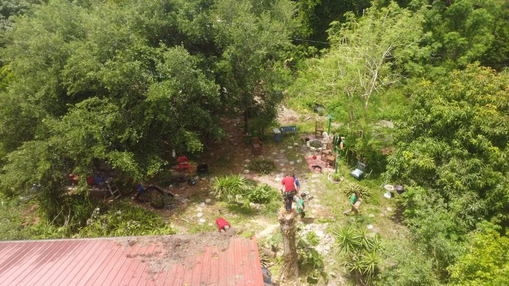 Slide of Im Collins It