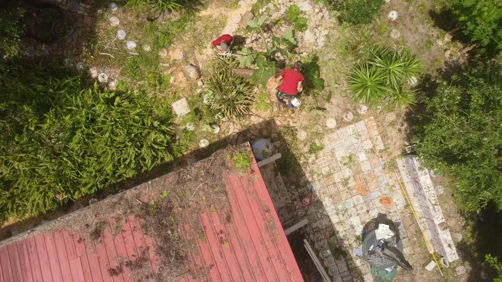 Slide of Im Collins It