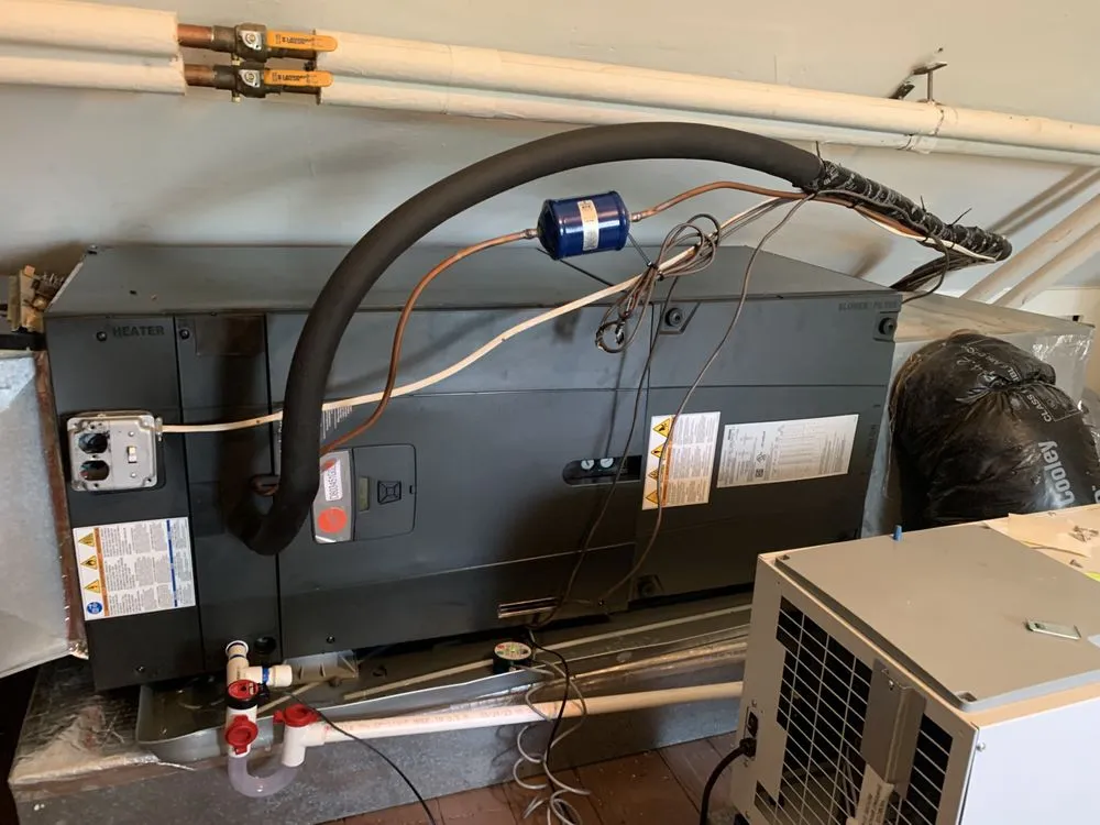 Slide of Images Services