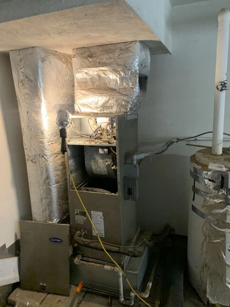 Slide of Images Services