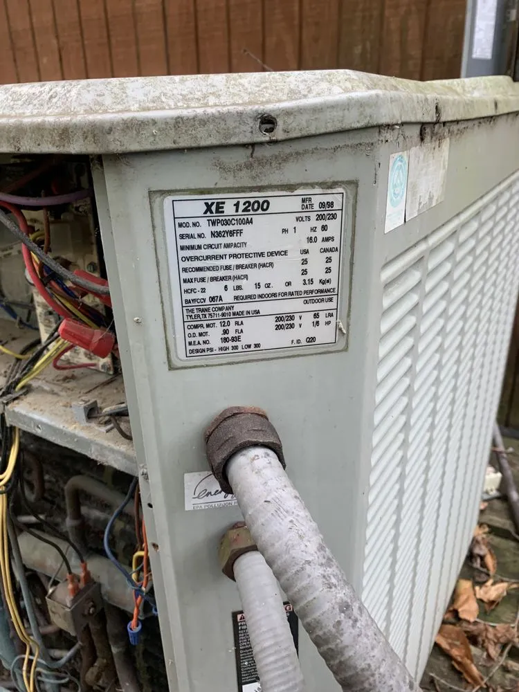 Slide of Images Services