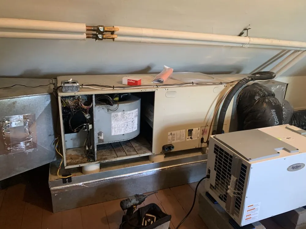 Slide of Images Services