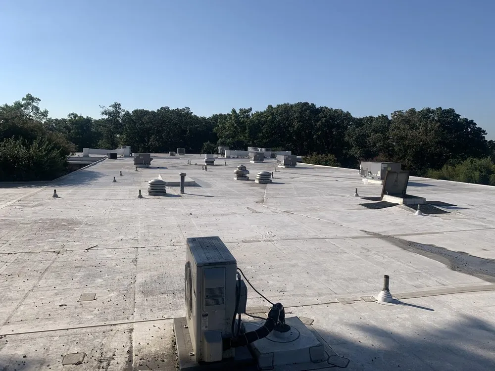 Slide of Images Services