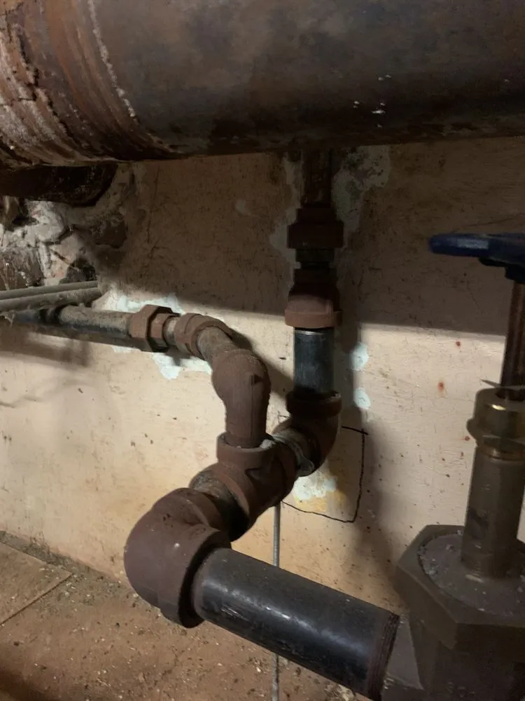 Slide of Images Services