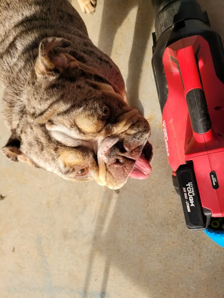 Slide of Immediate Services Air Conditioning & Heating