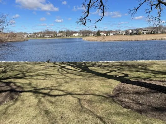 Improved Comfort Logo