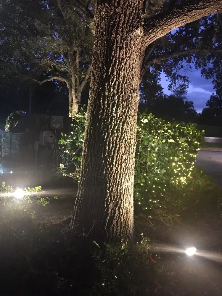 Slide of Incredible Electrical