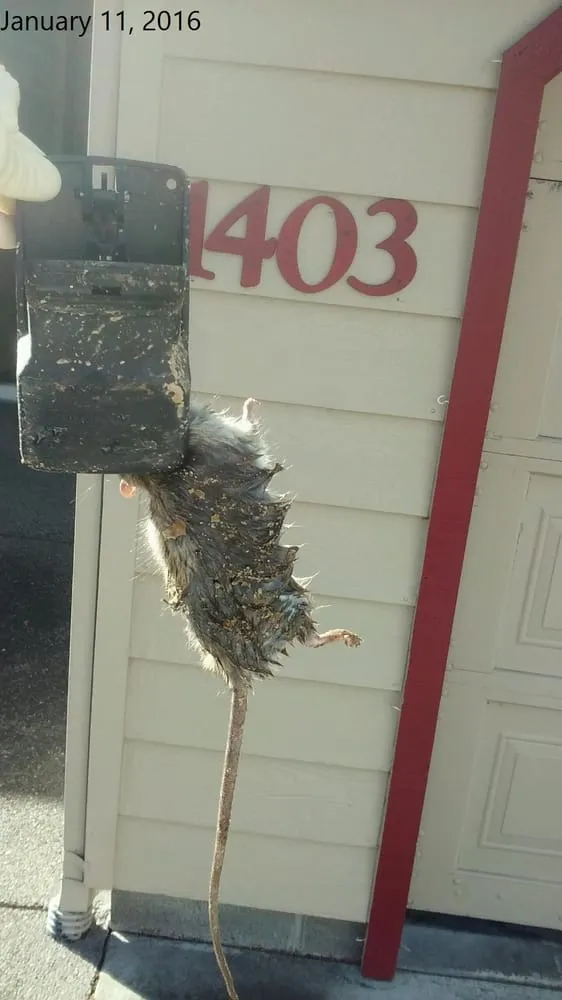 Slide of Indoor Airman And Energy Conservation Specialist