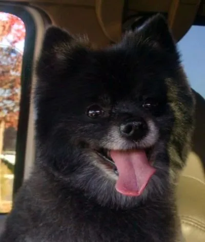 Slide of Indoor Comfort Heating & Air Conditioning